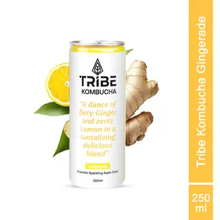Tribe Kombucha Naturally Sparkling Herbal Gingerade Probiotic Super Drink