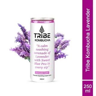 Tribe Kombucha Lavender Naturally Sparkling Probiotic Super Drink
