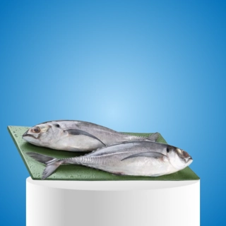 Fresh water Fish