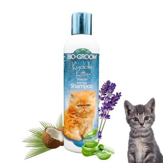 Bio Groom Kuddly Kitty Tearless Kitten Shampoo for Cats