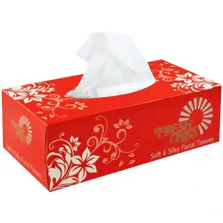 Fresh Ones Soft & Silky 2 Ply Facial Tissue