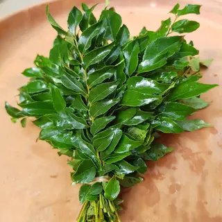 Curry Leaves Bunch