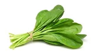 Palak Leaves Bunch