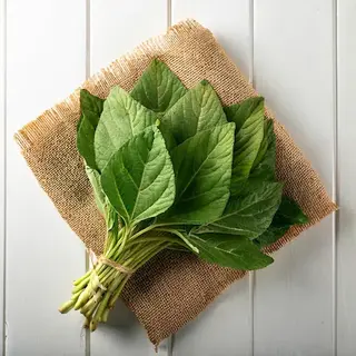 Amara Leaves Green Bunch