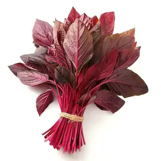 Amara Leaves Red Bunch