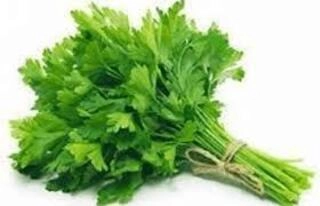 Coriander Leaves Bunch
