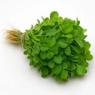 Methi Leaves Bunch