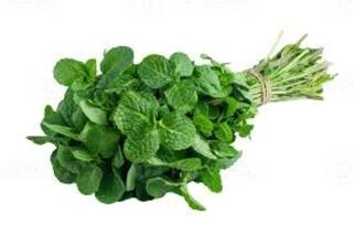 Mint Leaves Bunch