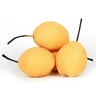 Pears Shandong