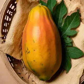 Papaya Whole (Apx.600 To 900gm)