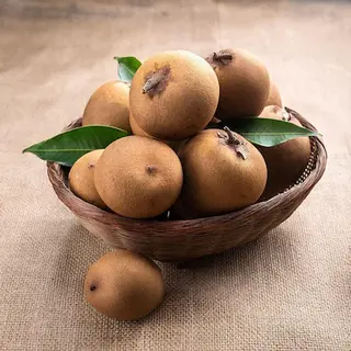 Sapota