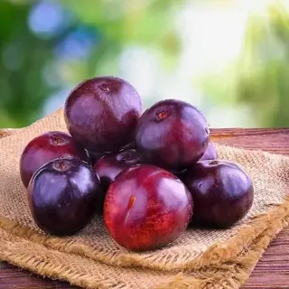 Plums Imported