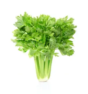 Celery 1Pc/Pack (Approx 100 To 200gm)