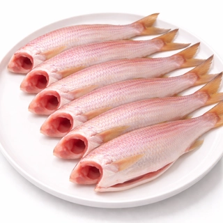Pink Perch Cleaned Headless