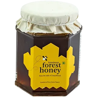 Terra Greens Honey - Forest