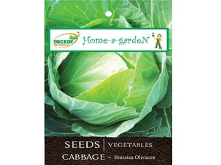 Oncrop Organic Cabbage Seeds