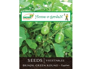 Oncrop Organic Brinjal Green Round Seeds