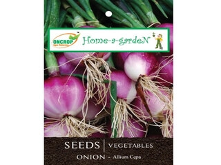 Oncrop Organic Onion Seeds