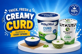 Curd