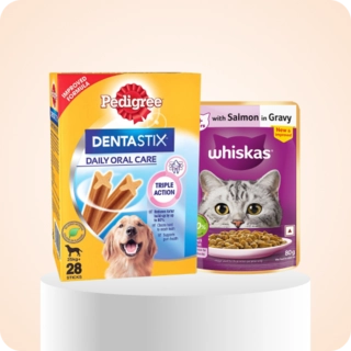 Pet Care