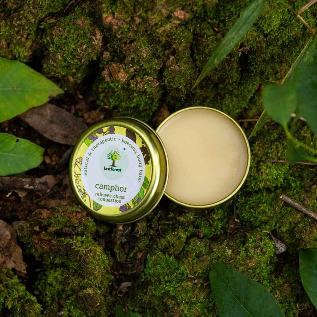 Camphor Beeswax Balm
