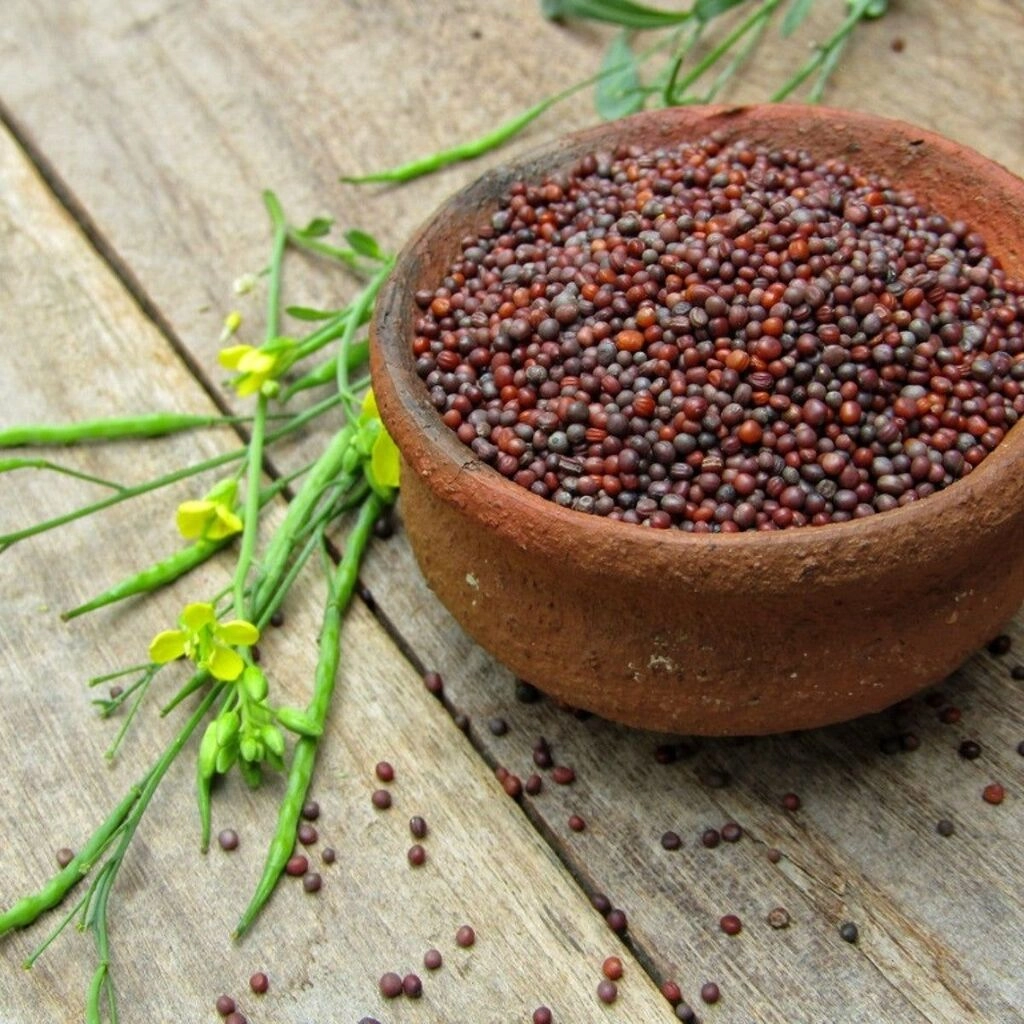 Mustard