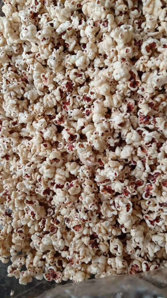 Salt Popcorn