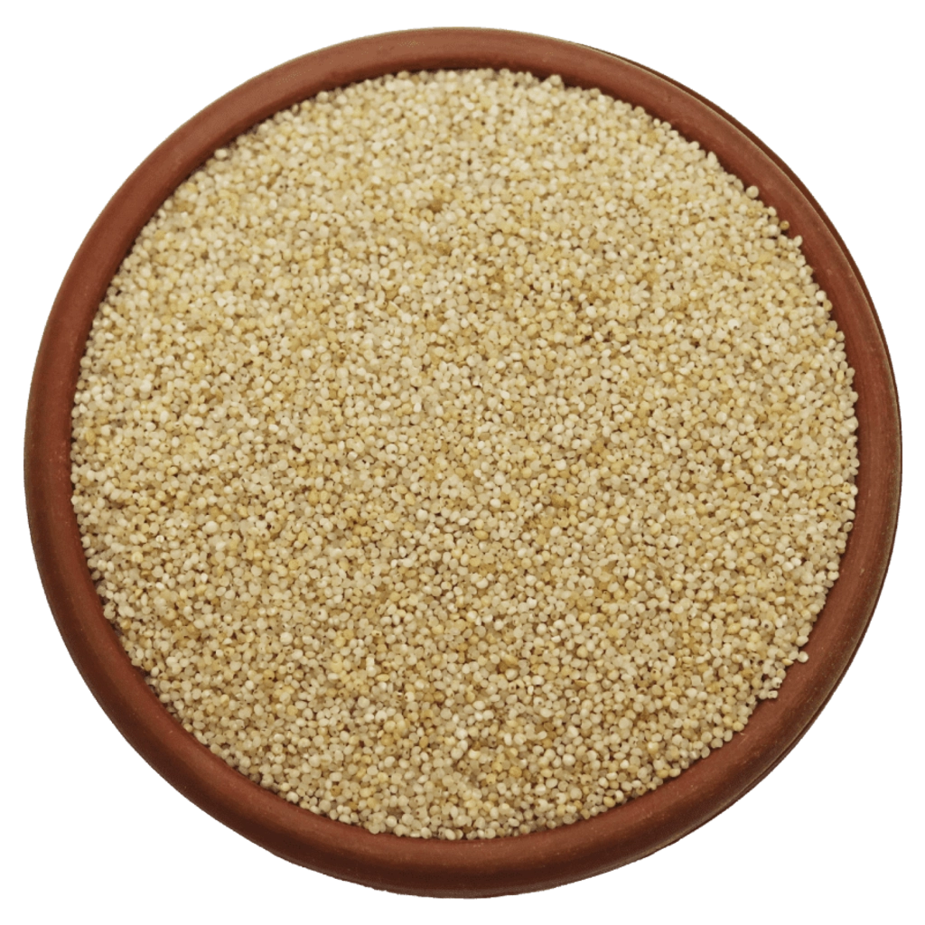 Barnyard Millet Boiled