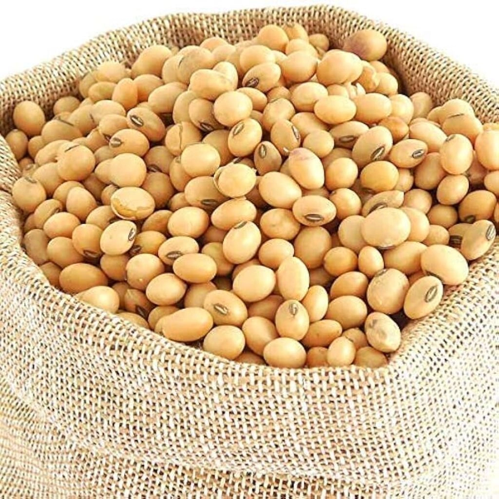 Soya beans