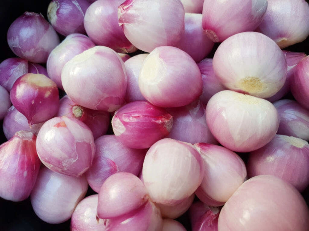 Small Onion Peeled