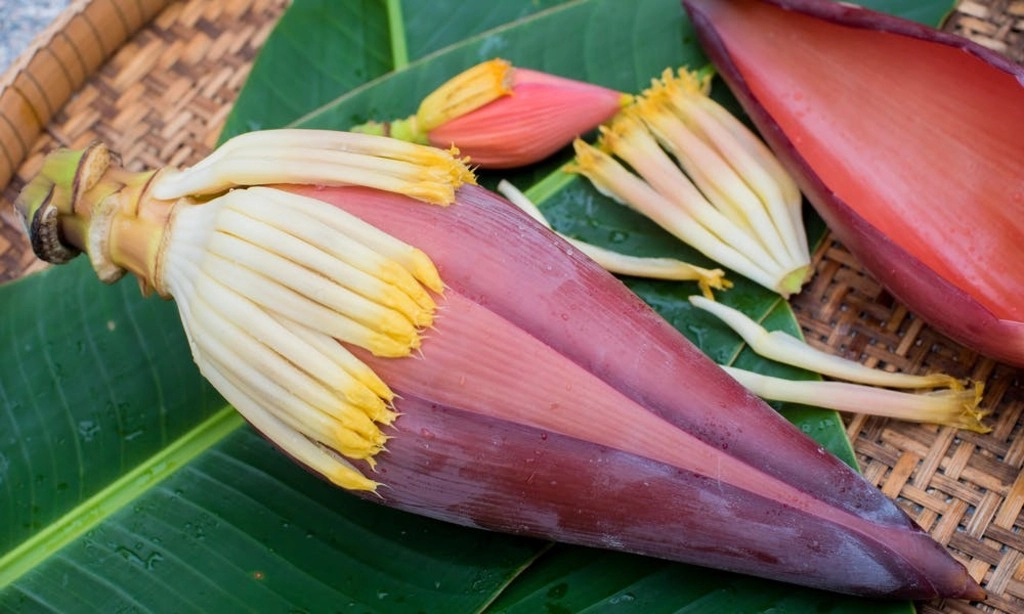 Banana Flower