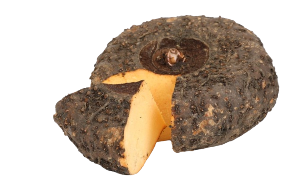 Elephant Yam