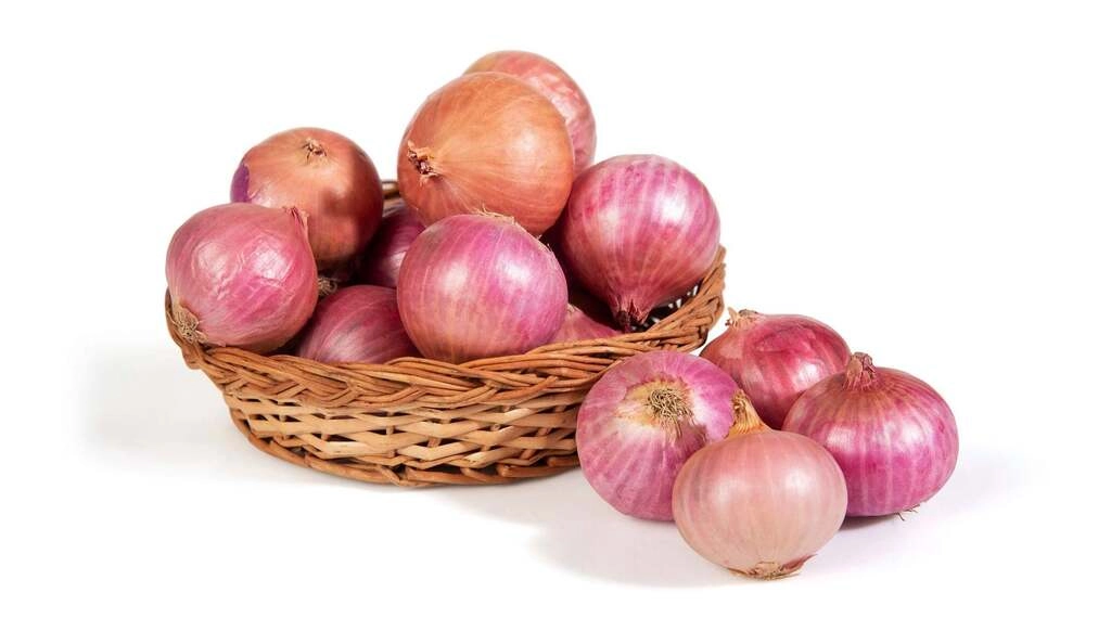 Big Onion