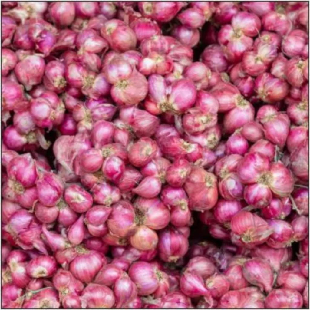 Small Onion