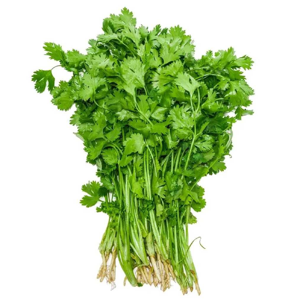 Coriander Leaf