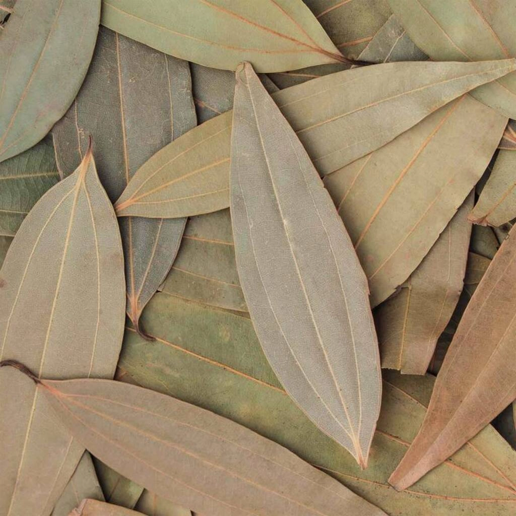 Bayleaf