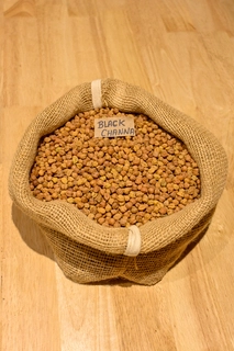 Black Channa / Bengalgram