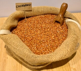 Chennangi