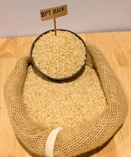 BPT Rice
