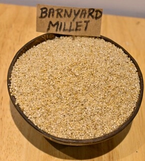 Barnyard Millet Raw