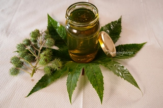 Castor Oil