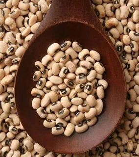 cow pea white