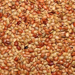 Horsegram Brown
