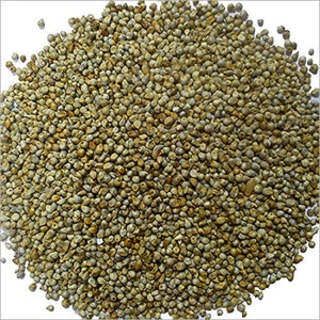 Country bajra