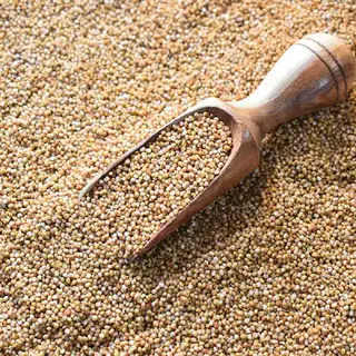 Kodo Millet Boiled