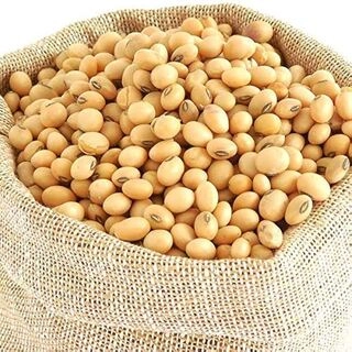 Soya beans