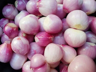Small Onion Peeled