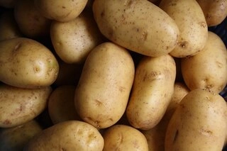 Ooty Potato