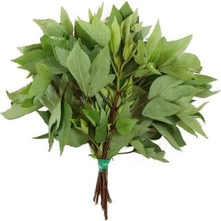 Gongura Leaf