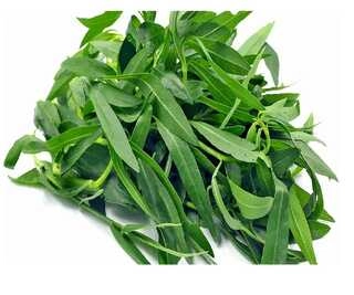 Ponnaganni Green